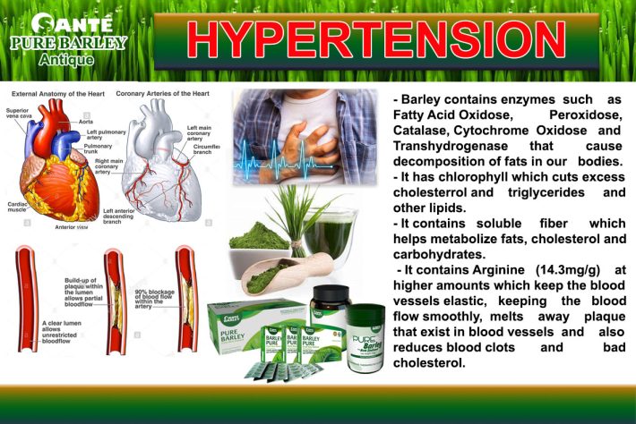 Sante Barley Hypertension